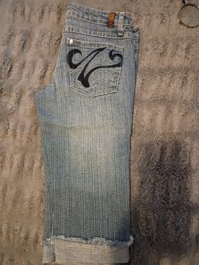 Zanadi Light Blue Embroidered Pocket Boyfriend Capris Size 7